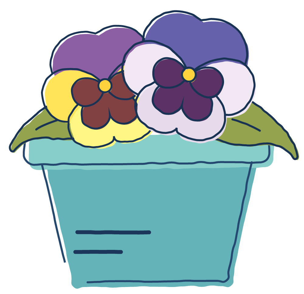 ［秋の都市緑化月間］花苗プレゼント