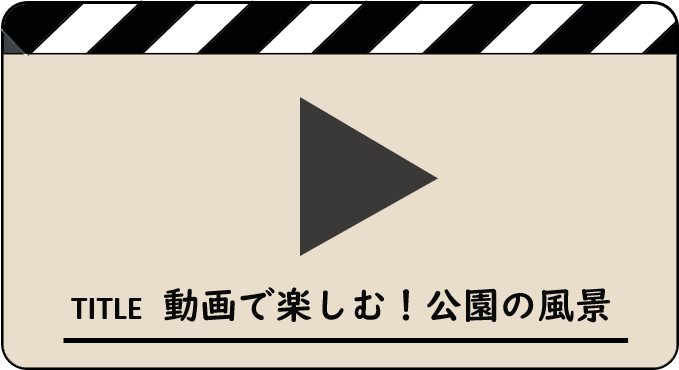 動画で楽しむ！公園の風景