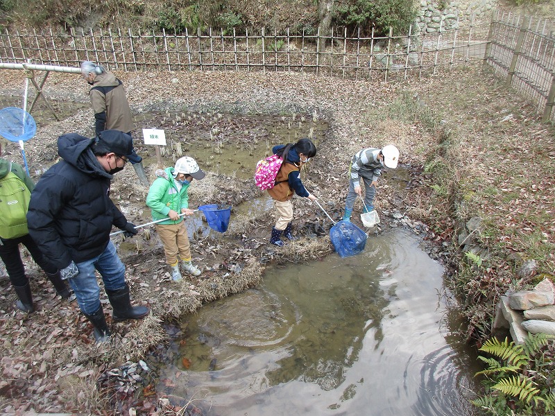 里山自然観察会「田んぼの生きもの探検隊　冬編」