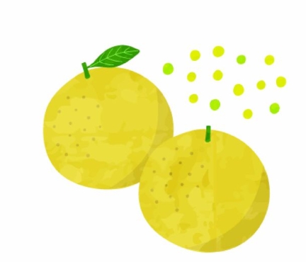 ブンタンの収穫体験