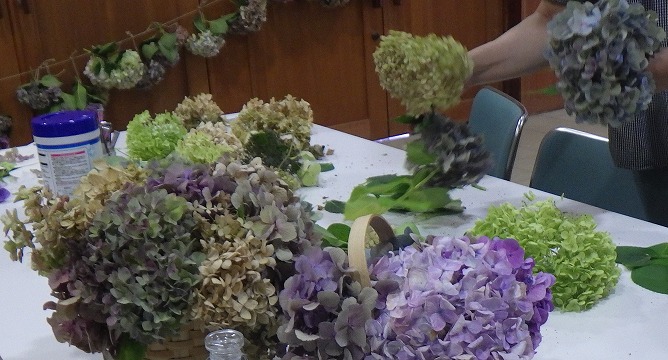 アジサイ花殻摘みと花かごづくり