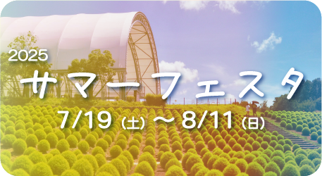 サマーフェスタ特設ページへ