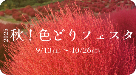 秋！色どりフェスタ特設ページはこちら