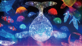 AirMappingShow the Ocean