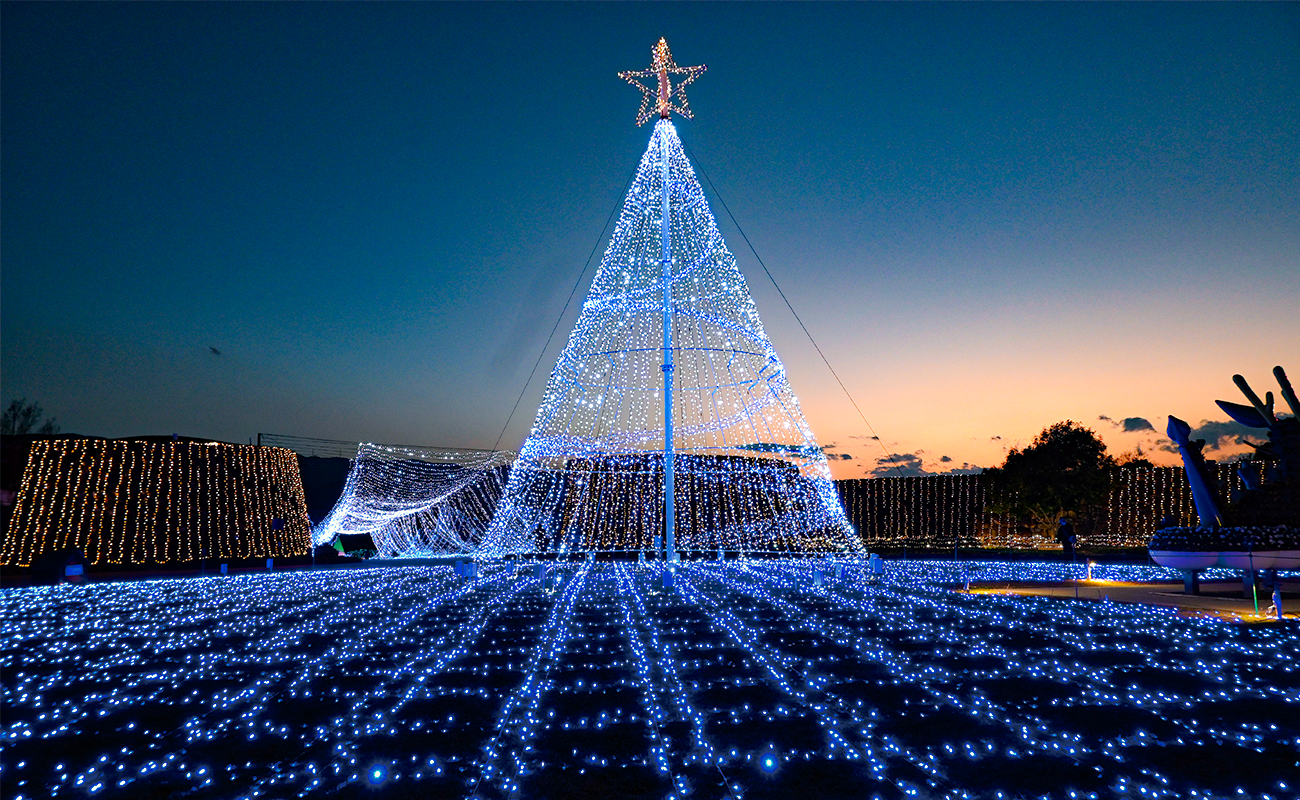 シンボルツリー＠phot12/3